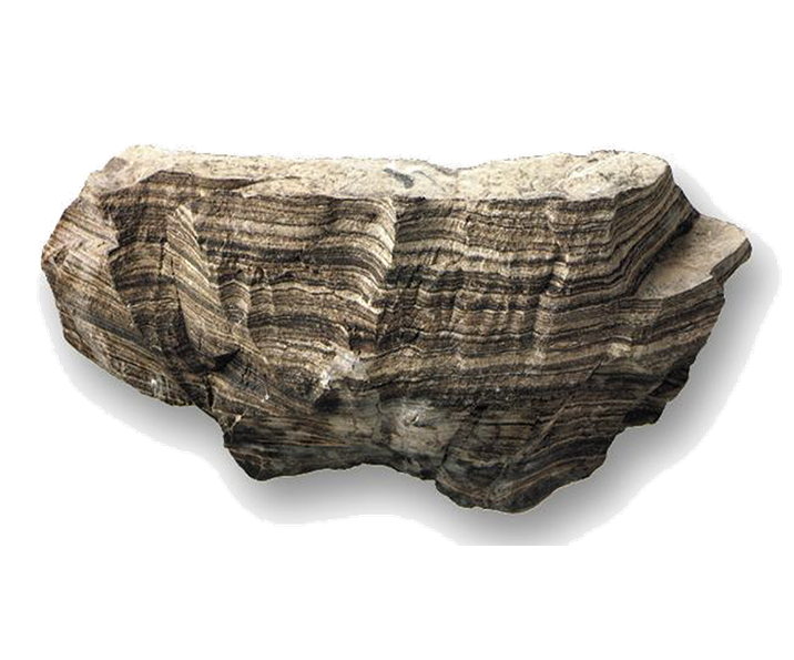 the shale rock 
